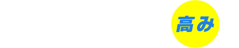 ドローンでビジネスをもっと高みへ!